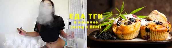 шишки Абаза