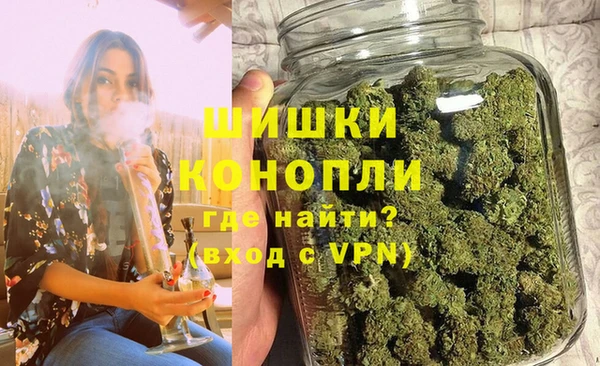 шишки Абаза