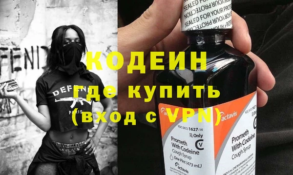 шишки Абаза