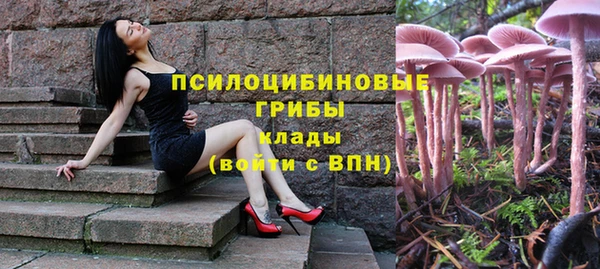 ГАЛЛЮЦИНОГЕННЫЕ ГРИБЫ Липки