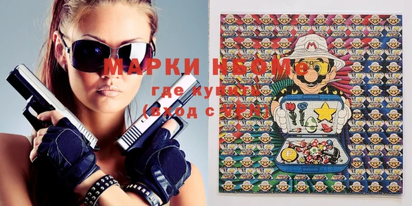 шишки Абаза