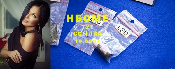 шишки Абаза
