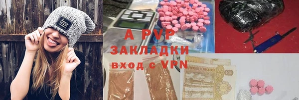 шишки Абаза